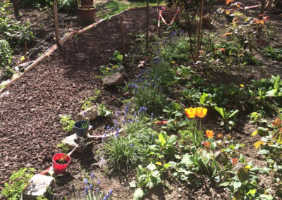 Permanences au jardin partagé Rosa-Rosette