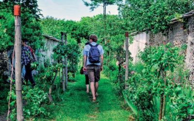 Visite virtuelle des murs à pèches de Montreuil