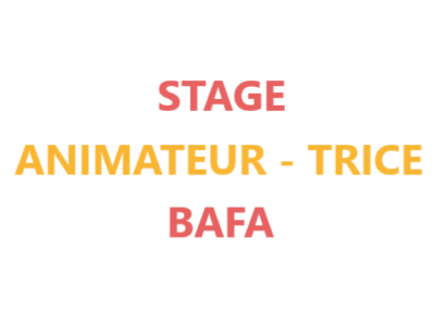 Poste : Animateur – trice en stage BAFA